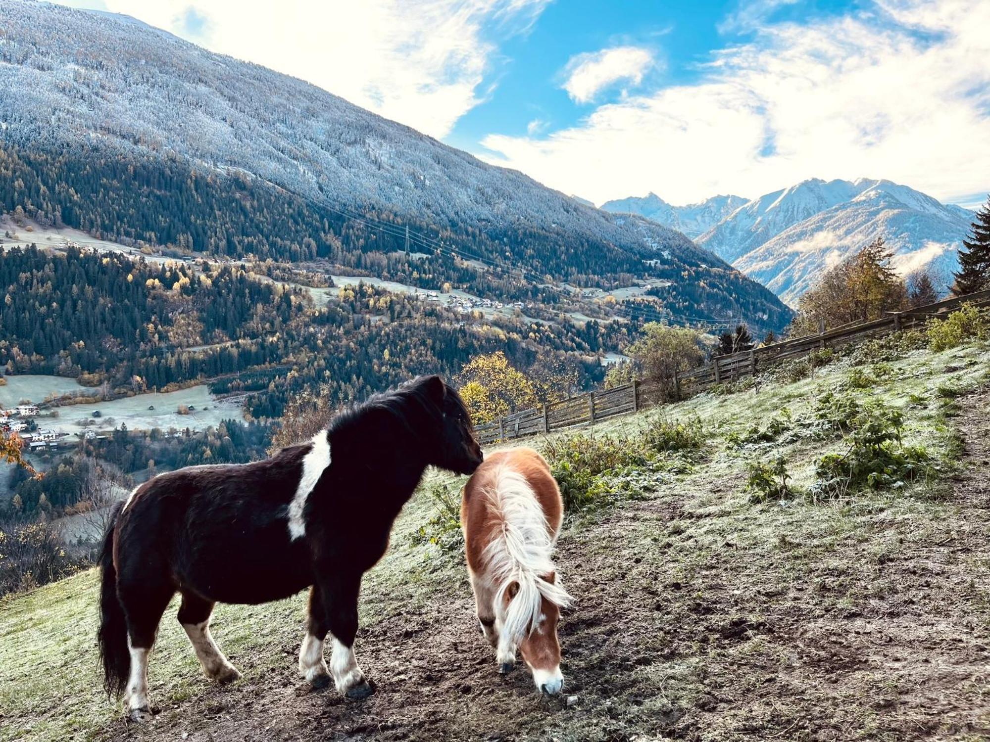 Apart Alpenzeit Arzl im Pitztal Exteriör bild
