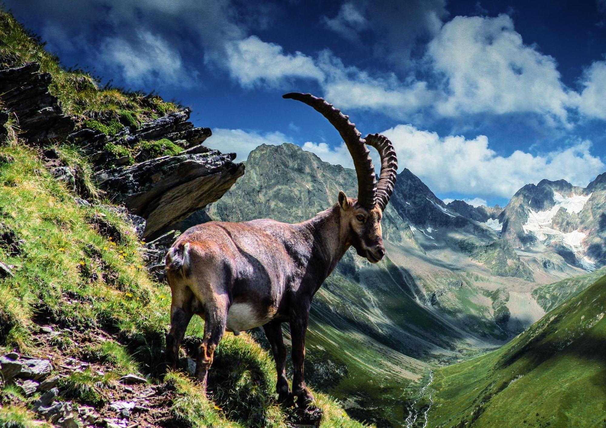 Apart Alpenzeit Arzl im Pitztal Exteriör bild