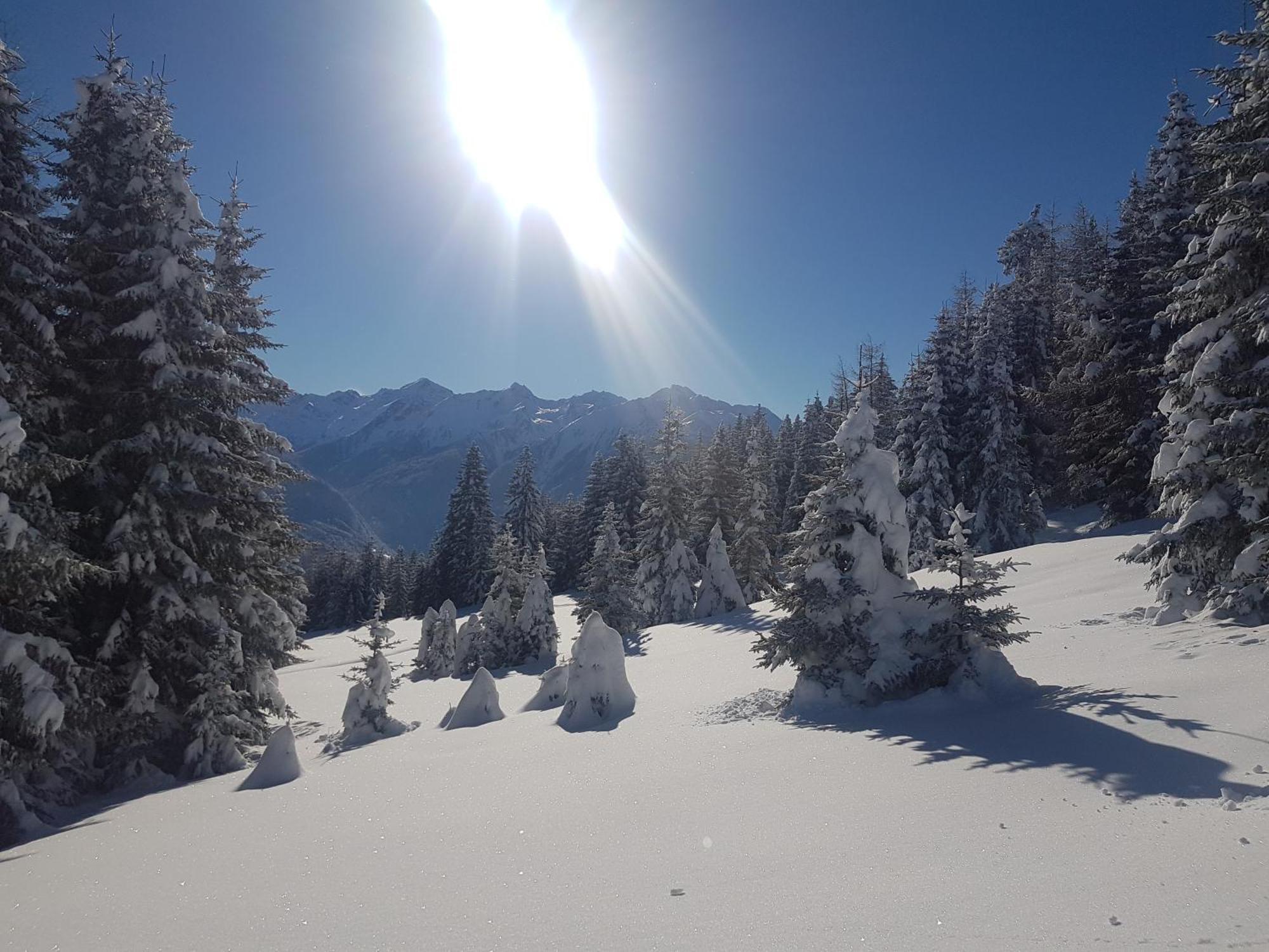Apart Alpenzeit Arzl im Pitztal Exteriör bild